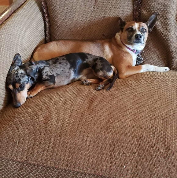 Meet your Posher, Jenny A.K.A GothMama 😘💜🦇 - Picture 3 of 16